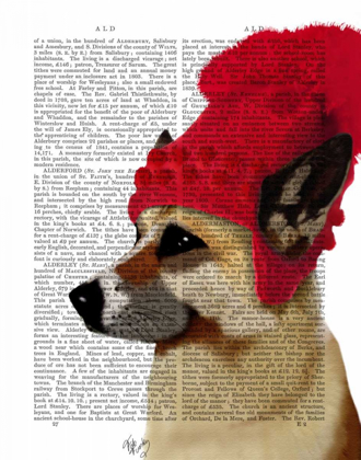 Picture of GERMAN SHEPHERD IN RED WOOLLY HAT