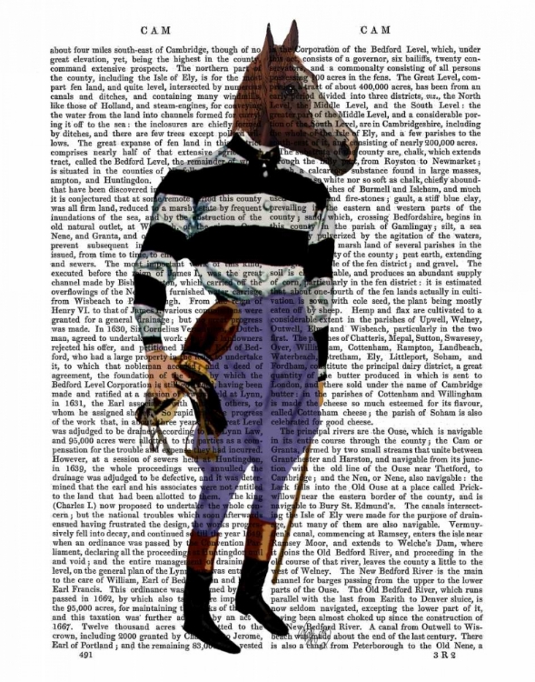 Picture of HORSE RACING JOCKEY FULL