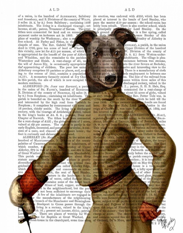 Picture of GREYHOUND FENCER DARK PORTRAIT