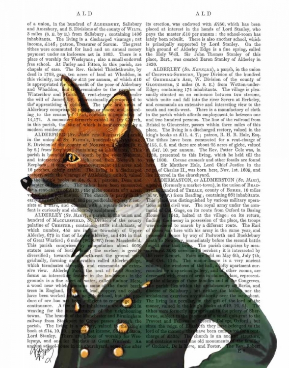 Picture of DANDY FOX PORTRAIT