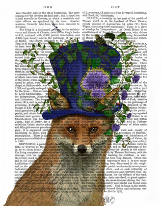 Picture of FOX MAD HATTER