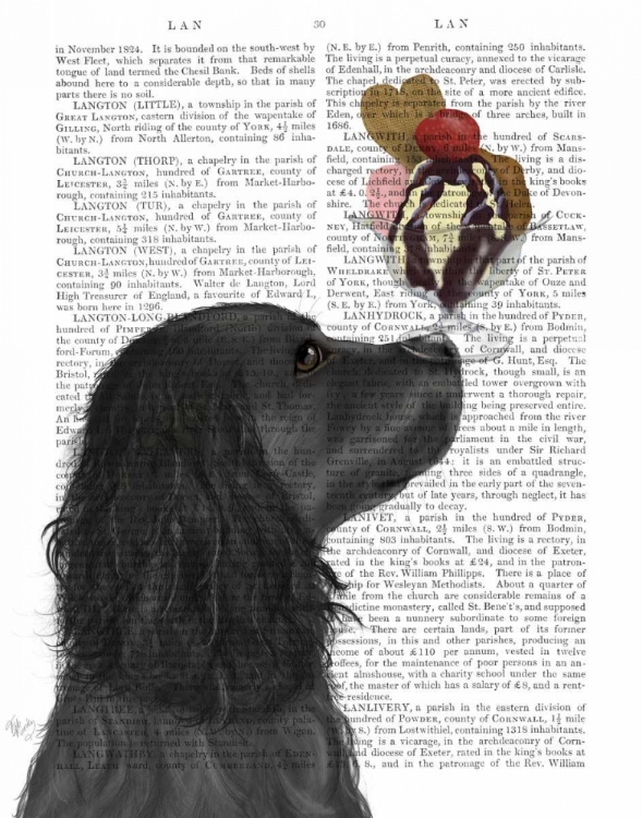 Picture of COCKER SPANIEL, BLACK, ICE CREAM