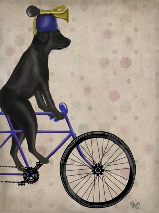 Picture of BLACK LABRADOR ON BICYCLE