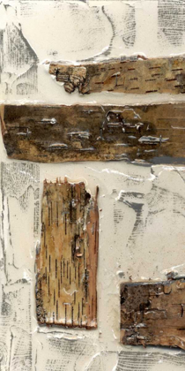 Picture of BIRCH BARK ABSTRACT I