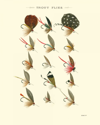 Picture of TROUT FLIES II