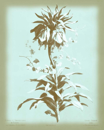 Picture of DUSSURGEY IMPERIALE ON BLUE