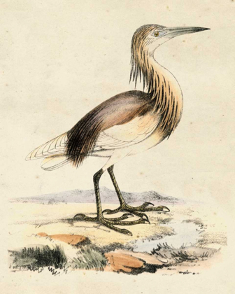 Picture of ANTIQUE HERON I
