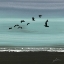 Picture of DUSKY SEA II