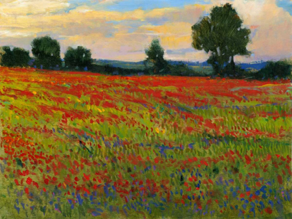 Picture of RED FIELD II