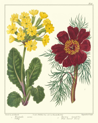 Picture of GARDENERS DELIGHT II