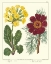 Picture of GARDENERS DELIGHT II