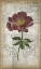 Picture of FRENCH FLORAL I