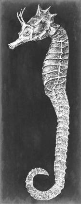 Picture of SEAHORSE BLUEPRINT I
