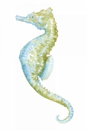 Picture of WATERCOLOR SEAHORSE II