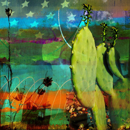 Picture of CACTUS AND FLAG COLLAGE