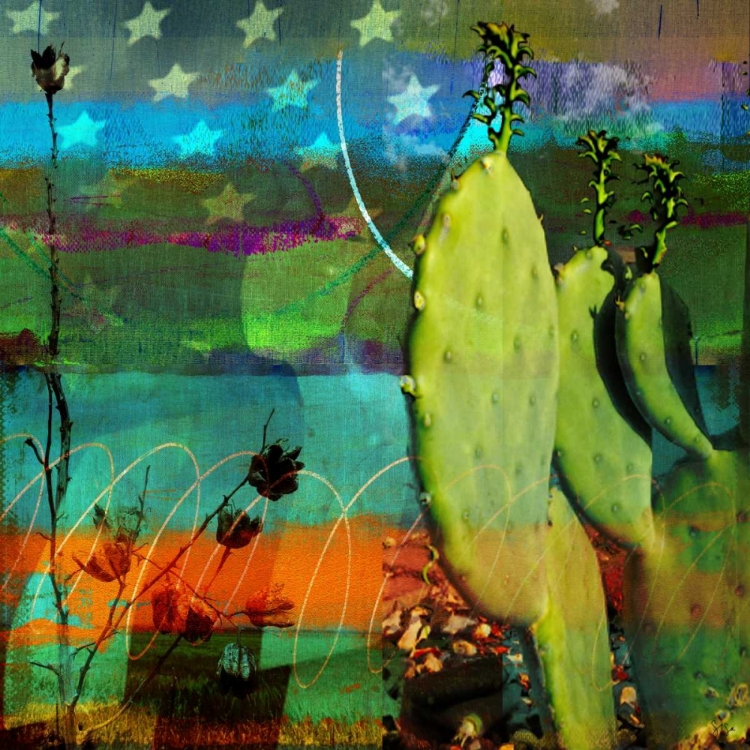 Picture of CACTUS AND FLAG COLLAGE