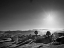 Picture of EXTREME SUNLIGHT