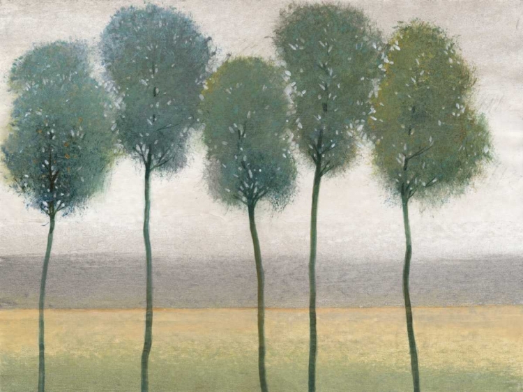 Picture of ROW OF TREES II