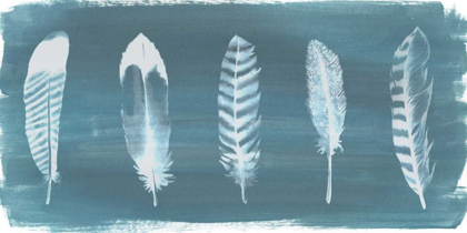 Picture of FEATHERS ON DUSTY TEAL II