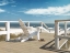Picture of SUN DECK