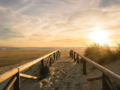 Picture of BEACH PATH TO THE GOLDEN SUN