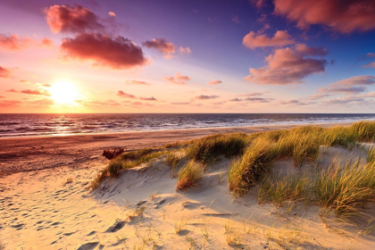 Picture of SAND DUNES AT DUSK