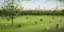 Picture of TAILS OF CENTRAL PARK