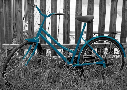 Picture of TEAL BIKE I.