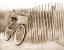 Picture of BIKE BY BEACH FENCE