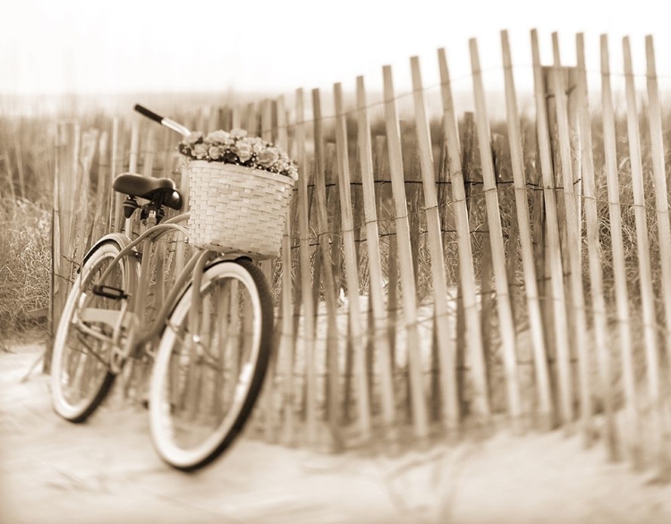 Picture of BIKE BY BEACH FENCE