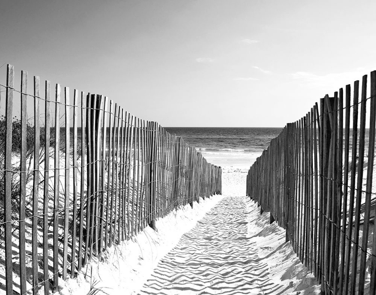 Picture of COASTAL PATH