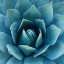 Picture of SOUTHWEST BEAUTY
