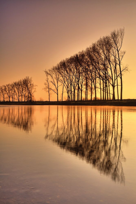 Picture of REFLECTIONS