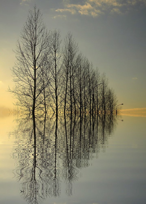 Picture of REFLECTIONS II