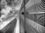 Picture of PERSPECTIVE ON FREEDOM TOWER
