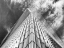 Picture of URBAN ANGLE