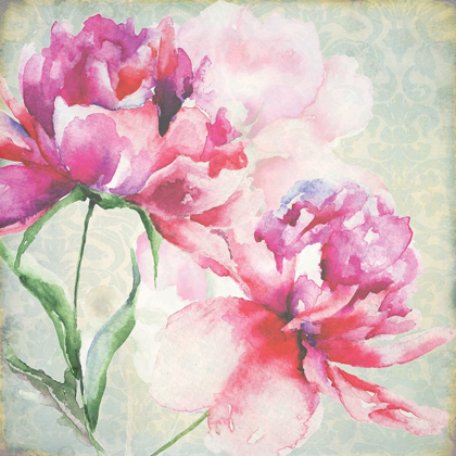 Picture of LOVELY PEONY BLOSSOMS