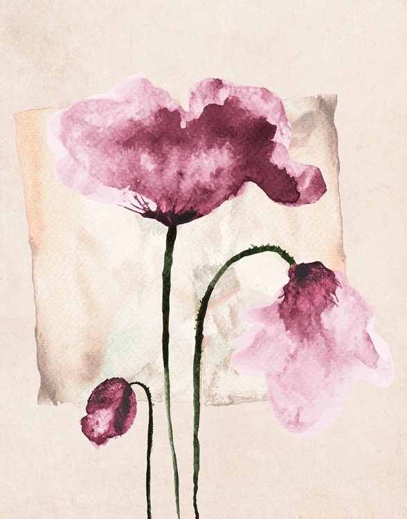 Picture of VIOLET WATERCOLOR POPPIES