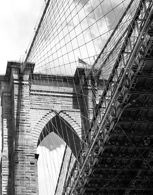 Picture of UNDER THE BROOKLYN BRIDGE