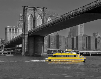Picture of NY WATER TAXI UNDER BROOKLYN BRIDGE