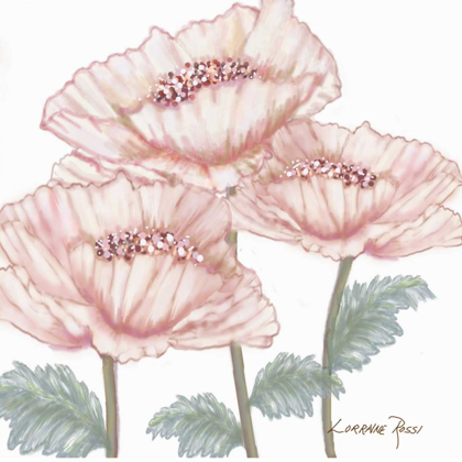 Picture of PINK POPPIES 2