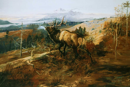 Picture of THE ELK