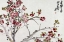 Picture of FLOWERS