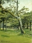 Picture of AN ORCHARD