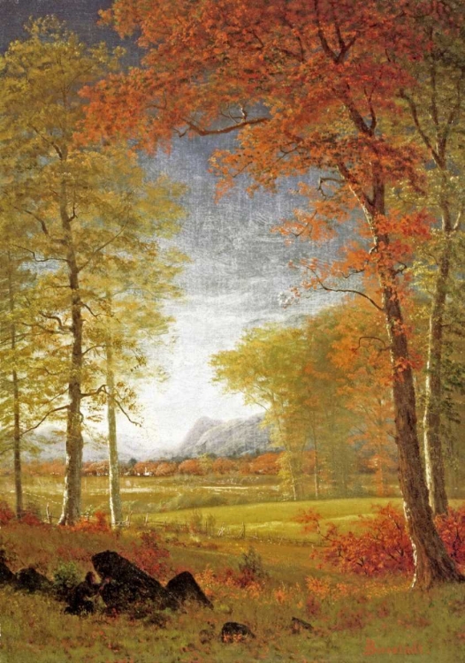 Picture of AUTUMN IN AMERICA, ONEIDA COUNTY, NEW YORK