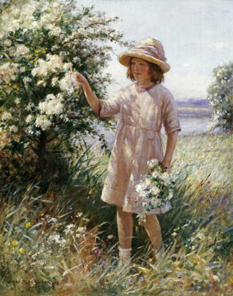 Picture of PICKING MAY BLOSSOM