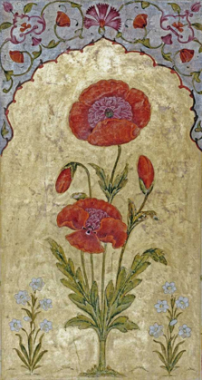 Picture of POPPY BLOSSOMS