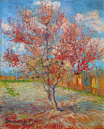 Picture of PINK PEACH TREE IN BLOSSOM