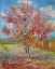 Picture of PINK PEACH TREE IN BLOSSOM