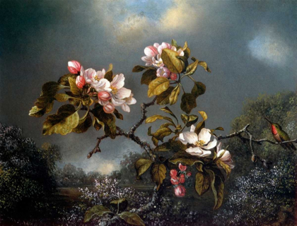 Picture of APPLE BLOSSOM AND HUMMINGBIRD